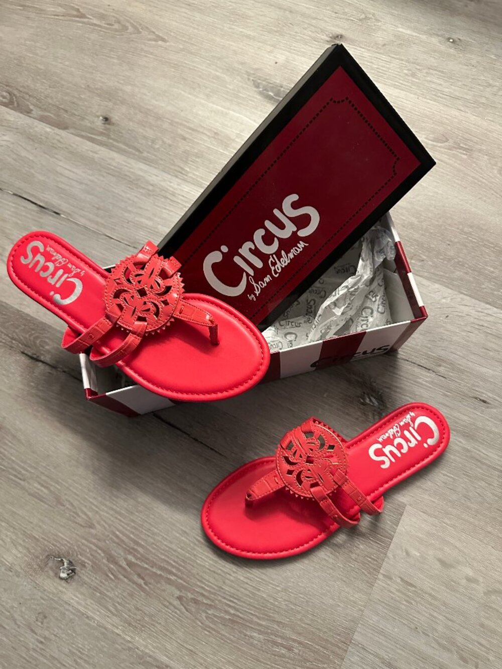 Circus Sam Edelman Flip Flops, never worn